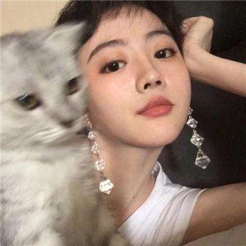 北京爱情故事360手游下载